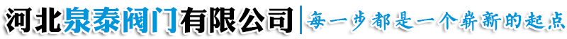 幹瑞亞飛科技有限公司